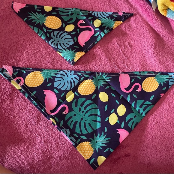 Dog accessories Each $8 - Picture 2 of 5